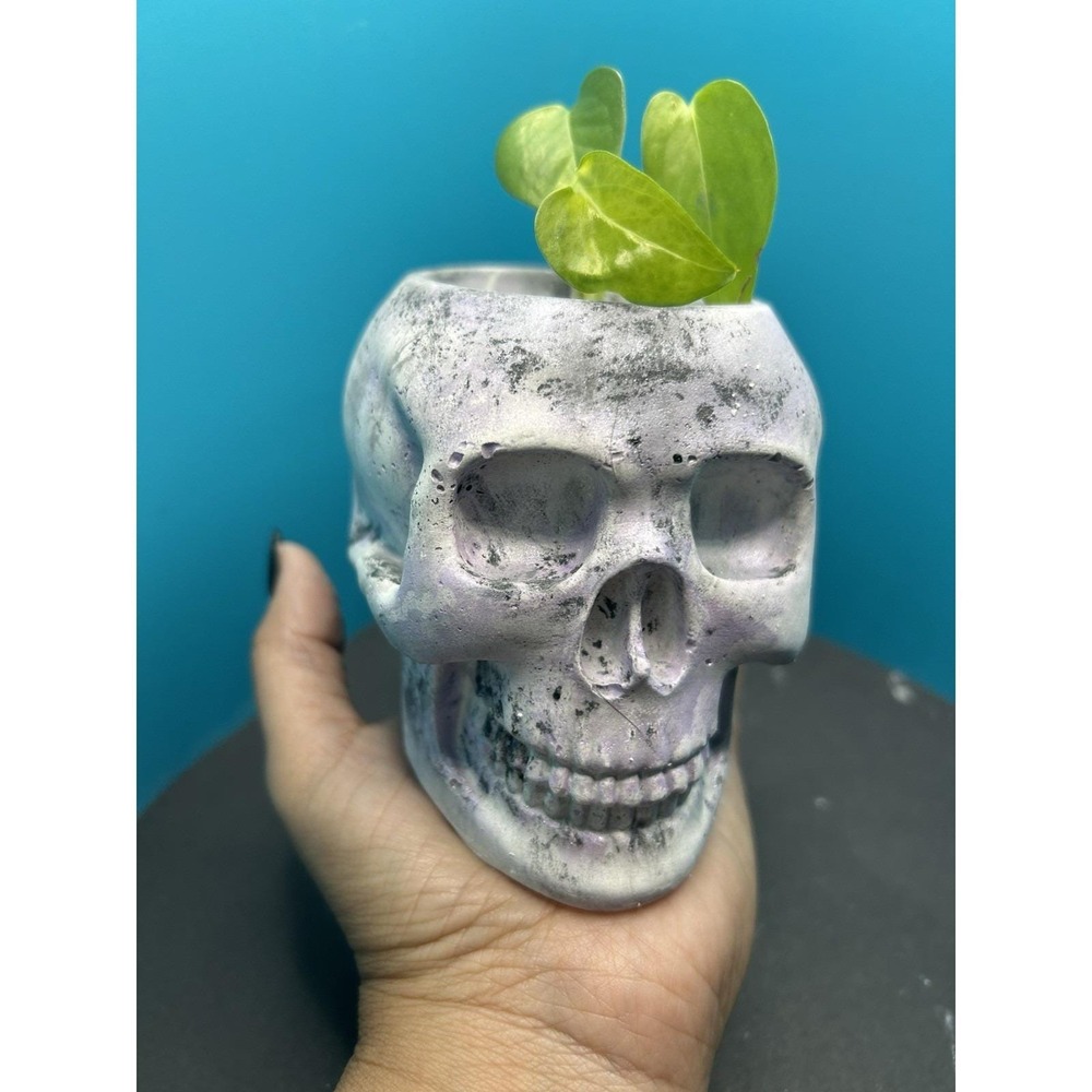 Skull Concrete Planter Lilac – Handmade Cement Succulent Plant  Pot, Handmade